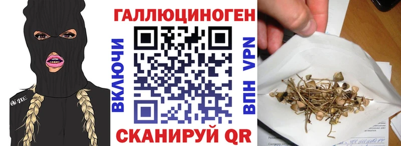 закладка  Уварово  Галлюциногенные грибы Magic Shrooms 
