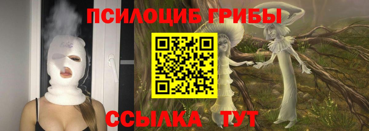 Псилоцибиновые грибы мицелий  Галлюциногенные грибы прущие грибы  Уварово  Вход с VPN 